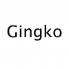 Gingko Gingko