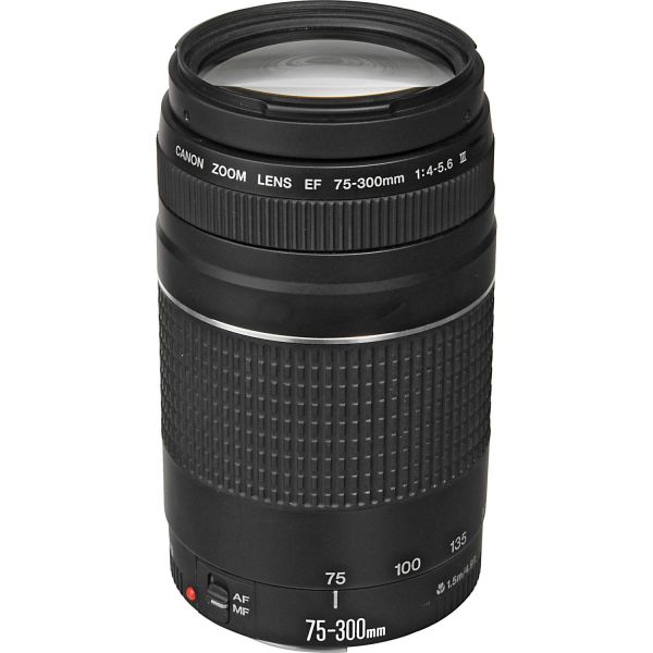Canon EOS 250D Kit (18-55mm IS STM + 75-300mm)