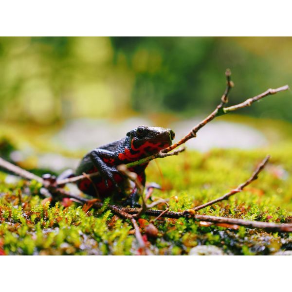 OM SYSTEM OM-5 Mark II (12-40mm) Silver OM SYSTEM OM-5 Mark II (12-40mm) Silver