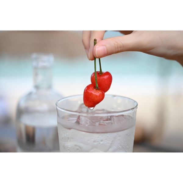 Nikon NIKKOR Z 24-70mm f/2.8 S II Nikon NIKKOR Z 24-70mm f/2.8 S II