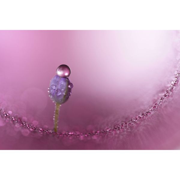 Sony SEL100M28GM 100mm f/2,8 GM