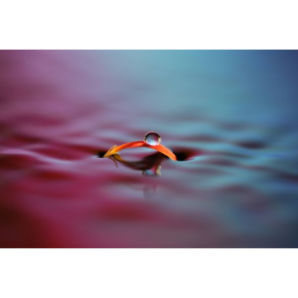 Sony SEL100M28GM 100mm f/2,8 GM