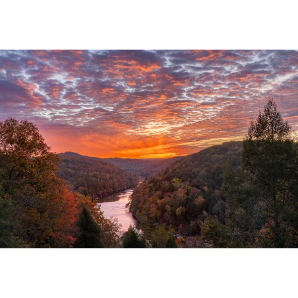 Canon EOS R6 Mark III Body