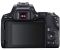 Canon EOS 250D kit (18-55mm) EF-S IS STM Canon EOS 250D kit (18-55mm) EF-S IS STM