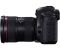 Canon EOS 5DS body