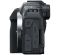 Canon EOS R8 body + Mount Adapter EF-EOS R Canon EOS R8 body + Mount Adapter EF-EOS R