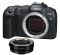 Canon EOS R8 body + Mount Adapter EF-EOS R Canon EOS R8 body + Mount Adapter EF-EOS R