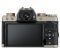 Fujifilm X-T100 body