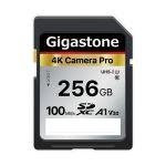 Gigastone 256GB SD Card V30 SDXC Gigastone 256GB SD Card V30 SDXC