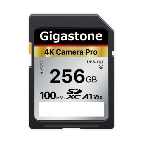 Gigastone 256GB SD Card V30 SDXC