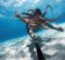 GoPro HERO9 Special Bundle GoPro HERO9 Special Bundle