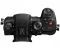 Panasonic Lumix DC-GH5S Body